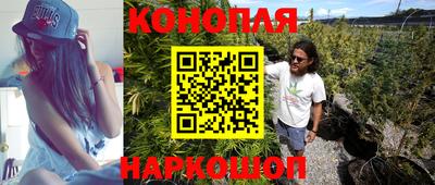 крисы Гусиноозёрск