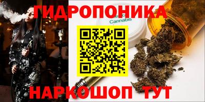 крисы Гусиноозёрск