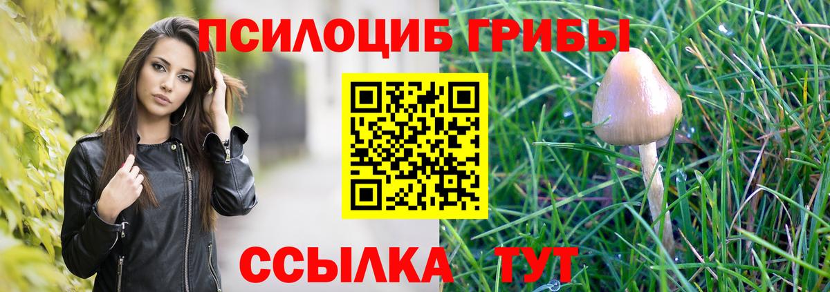 Галлюциногенные грибы прущие грибы  Вход с VPN  Псилоцибиновые грибы GOLDEN TEACHER  Москва 